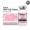 Stayve Booster Aqua Stem Cell Ampoule Set
